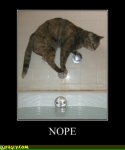 nope_cat_bathtub.jpg nope_cat_bathtub.jpg