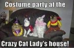 Funniest_Memes_costume-party-at-the-crazy-cat-lady-s-house_12885.jpeg