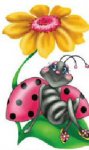 ladybug flower.jpg