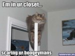 funny-animal-funny-cat-and-dog-pictures-with-captions-11-35-funny-cat-and-dog-pictures-with-capt.jpg