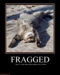 fragged a cat funny motivational animals.jpg