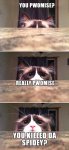 Funny-cat-meme.jpg