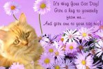 hug your cat day.jpg