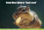 funny_puns_most_likely_to_succed-s400x269-185370.jpg