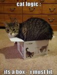 cat box logic.jpg