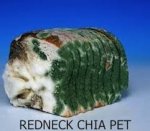 chia.jpg