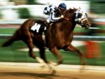 racehorse.jpg