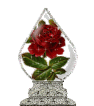 a rose 2a.gif