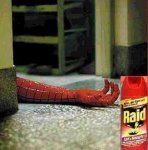 raid.jpg