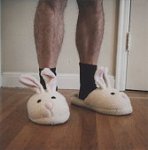 bunnies.jpg
