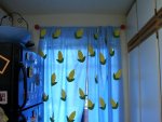 corn curtains.jpg