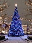 Christmas Tree Blue Style.jpg