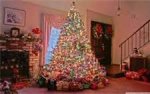 Christmas Tree1.jpg
