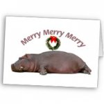 a-Merry Hippopotamus.jpg