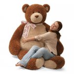 ultimate-giant-gund-teddy-bear-2.jpg