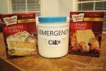 Emergency-Cake-2.jpg