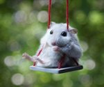 mouse swing.jpg