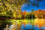 1010844-bigthumbnail.jpg