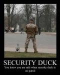 Animal-memes-security-duck-520x650.jpg