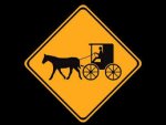 buggy.jpg