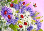 ladybugs (2).jpg
