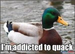 ducks01.jpg