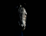 Black horse.png