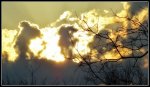 DSC03879.jpg
