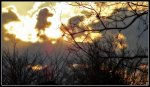 DSC03883.jpg