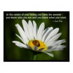 lao_tzu_quote_ladybug_daisy_inspiration_motivation_poster-r97826e3a49c746d6ba4b44af5831aad3_ze81.jpg