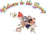 birds.gif