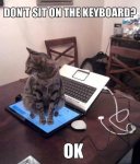 Don't Sit On Keyboard.jpg