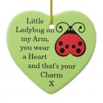 little_ladybug_charming_heart_shape_ornament_green-r52ef8e605d2c4b6ea1047f0870b57c35_x7s21_8byvr.jpg