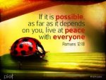 Live-at-peace-with-lady-bug.jpg