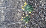20150330_184527.jpg 20150330_184527.jpg