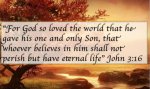 John3v16.jpg