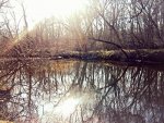 IMG_20150329_222753.jpg