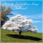 eastertree.jpg