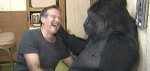 robinwilliams.jpg