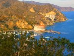 CatalinaIsland4.jpg