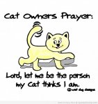 Cat Owner's Prayer.jpg