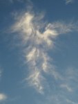 angels07.jpg