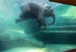 itswims.jpg