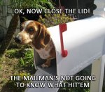 mailman.jpg