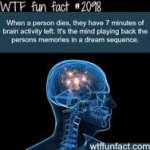 brain dead activity...jpg