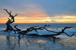 sunrise-at-driftwood-beach-14-bruce-gourley.jpg