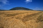 mount_tabor_2.jpg