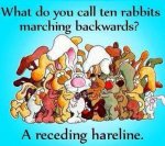wabbits.jpg