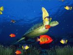 MarineLifeAquarium3D.jpg