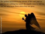 angel-62.jpg